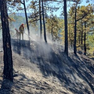 denizlideki orman yangininda 165 hektar alan kul olmaktan kurtarildi Aj3OwHNF
