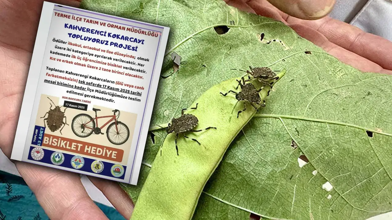 kokarca toplama projesine chpden tepki bilimle mucadele edecegimize cocuklari kullaniyoruz Rz6GXWYW.jpg