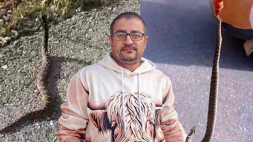 yer kutahya zehirli engerekle olum dansi ben bir delilik yaptim FIHce8w6.jpg