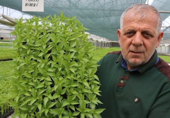 sigara-fabrikasindan-emekli-olunca-yeni-bir-hobi-buldular-yilda-15-milyon-fideyi-75-qxtBRSE5