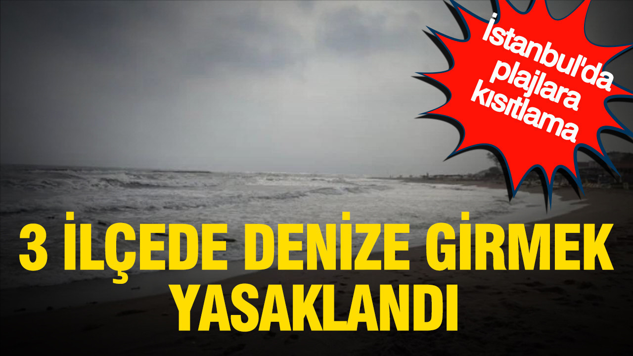 Istanbulda plajlara kisitlama 3 ilcede denize girmek yasaklandi MUbSMUB6